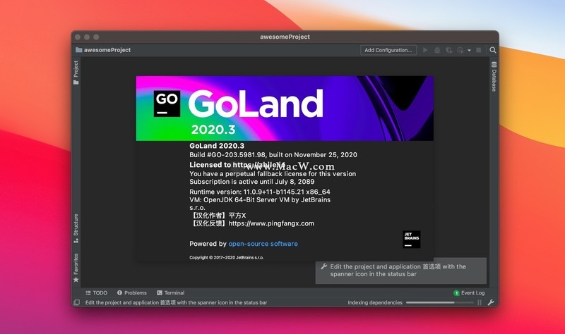 JetBrains GoLand 2020 for Mac(Go语言集成开发工具)v2020.3RC中文正式版