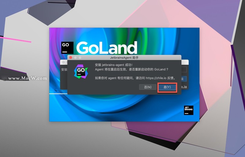 JetBrains GoLand 2020 for Mac(Go语言集成开发工具)v2020.3RC中文正式版