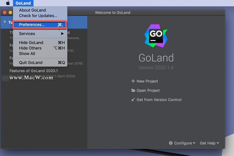 JetBrains GoLand 2020 for Mac(Go语言集成开发工具)v2020.3RC中文正式版