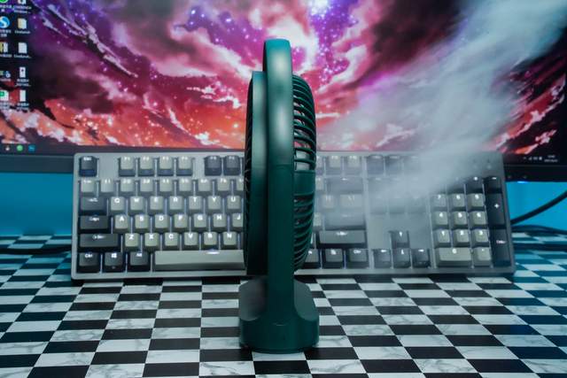 或清风徐来，或凉风阵阵，这个夏天有你足矣