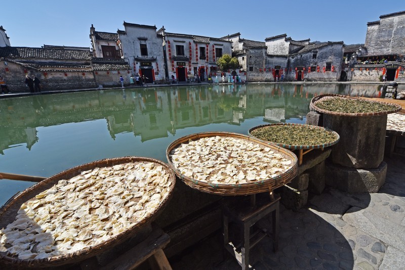 诗画徽州，水墨宏村，梦里老家