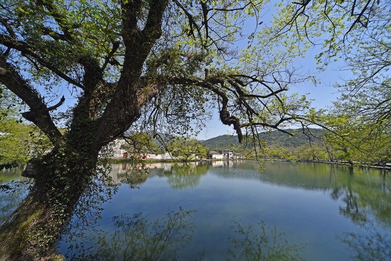 诗画徽州，水墨宏村，梦里老家