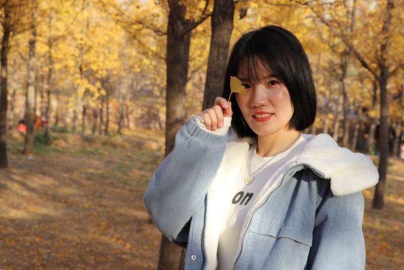 深秋银杏林人像