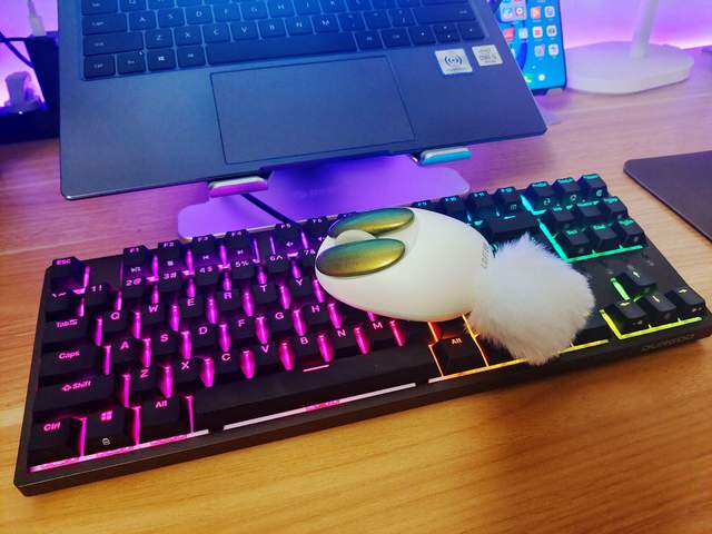 Lofree洛斐小瓣：生而不同，专为女性打造精致使用体验