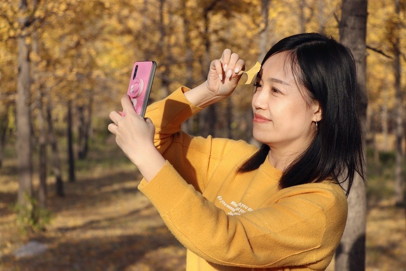 深秋银杏林人像