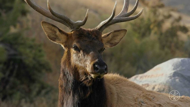 家用黑科技电视盒子——interbox X3体验