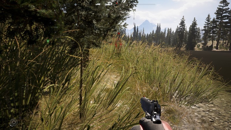 《锐龙核显能玩什么游戏》R5 5600G能否逃出孤岛惊魂5？