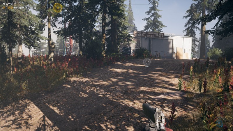 《锐龙核显能玩什么游戏》R5 5600G能否逃出孤岛惊魂5？