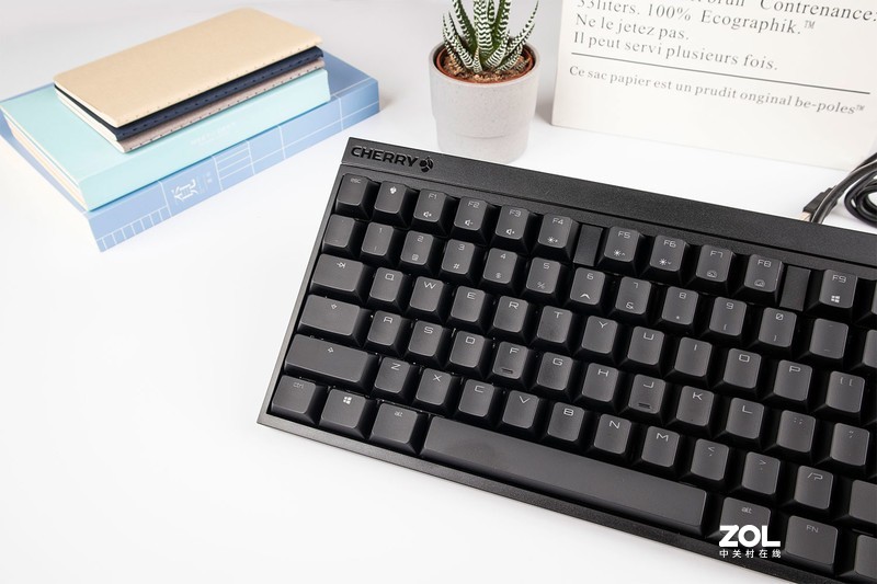经典情怀之作，内外兼修，Cherry MX2.0S机械键盘体验