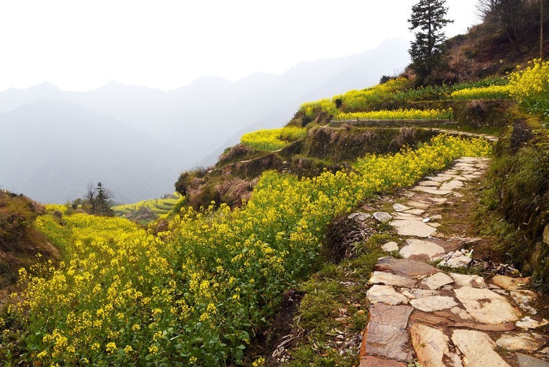 安徽黄山有座“延迟”村，古朴原生态，背后还有故事