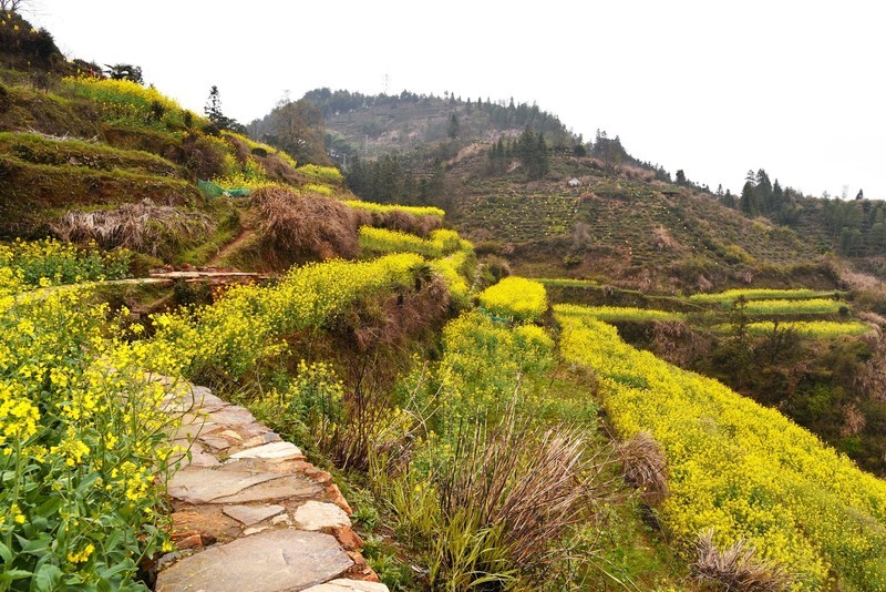 安徽黄山有座“延迟”村，古朴原生态，背后还有故事