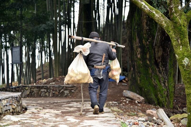 安徽黄山有座“延迟”村，古朴原生态，背后还有故事