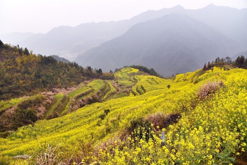 安徽黄山有座“延迟”村，古朴原生态，背后还有故事