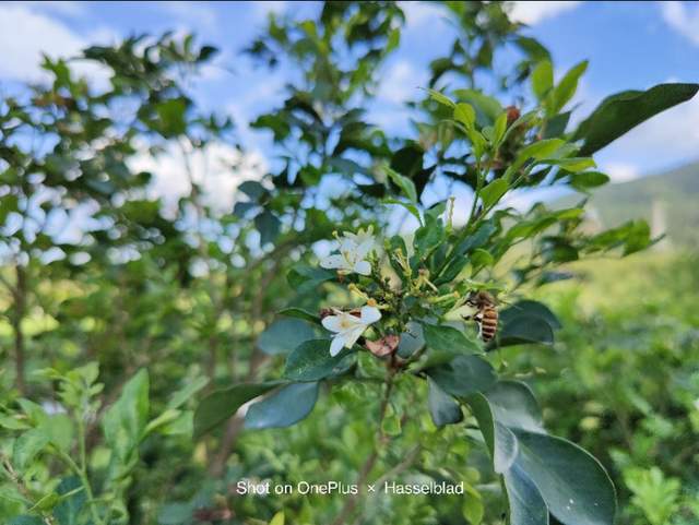 一加9Pro深度体验1个月，说说优缺点，和我的真实感受