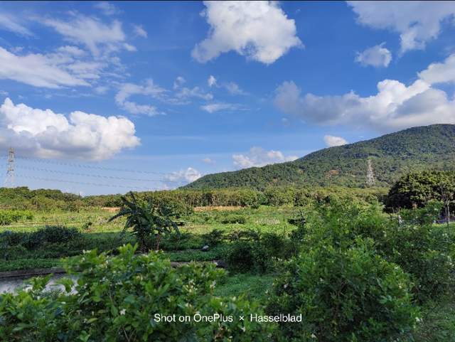 一加9Pro深度体验1个月，说说优缺点，和我的真实感受