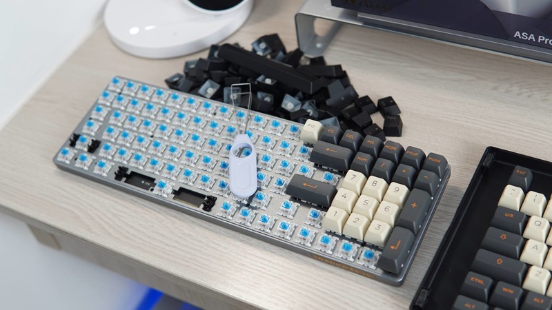 AKKO 大碳复刻225个键帽体验，键帽厂实锤了