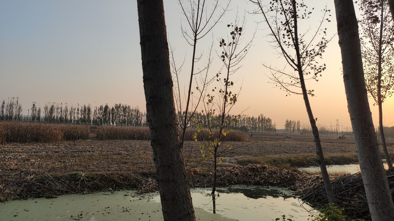 可远可近双焦设计，镜片镀膜成像清晰，星特朗近焦望远镜体验