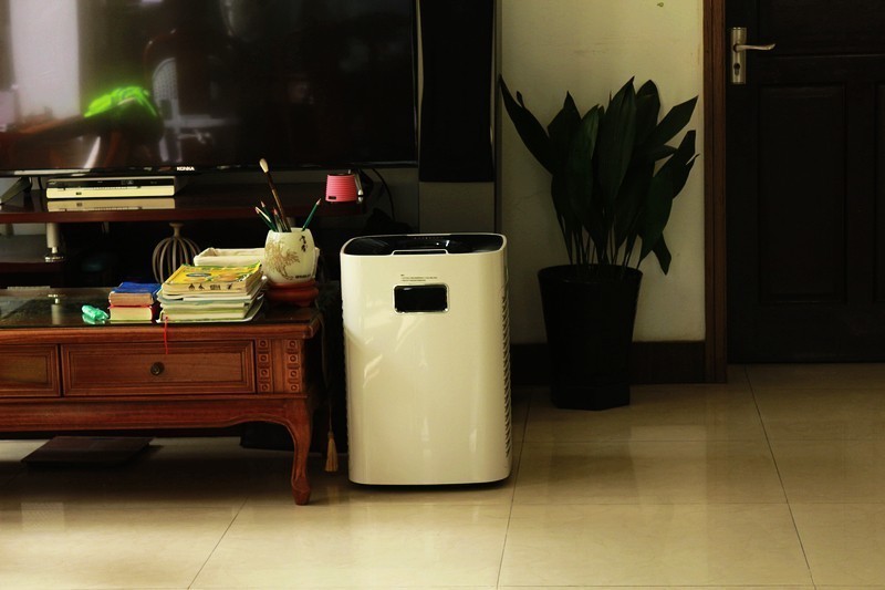 三管齐下 清蜓长效除甲醛空气净化器-猛士+锰炭包+自测盒