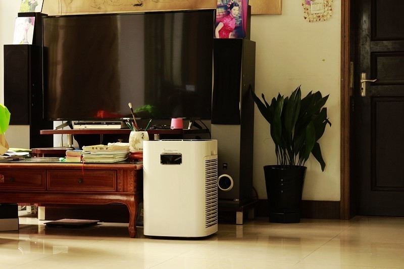 三管齐下 清蜓长效除甲醛空气净化器-猛士+锰炭包+自测盒