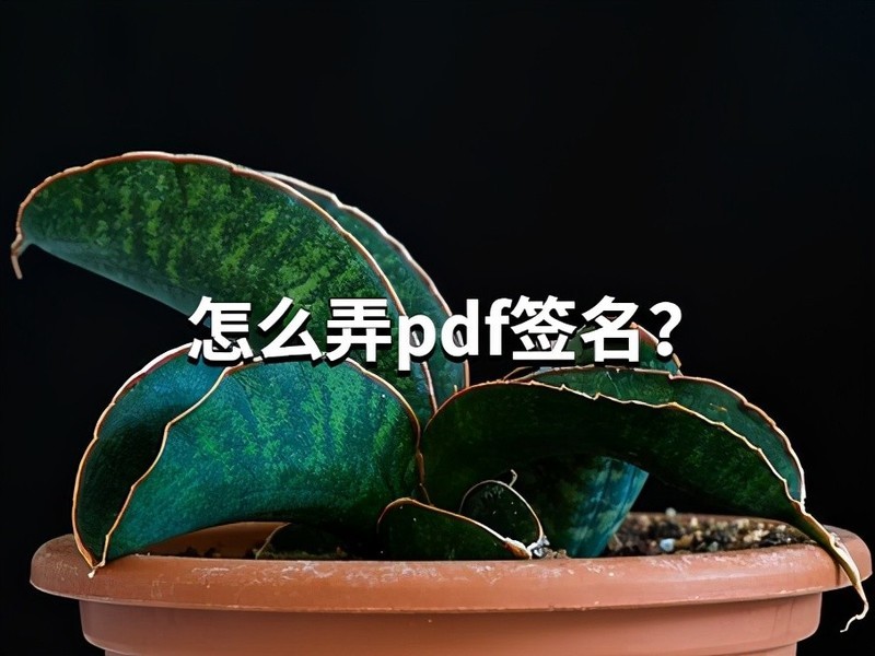 上班族的小妙招：怎么弄pdf签名？编辑器来助力