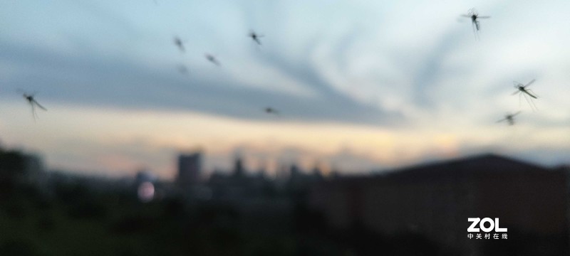 不算评测的一加9 PRO影像体验，手机旅拍短片