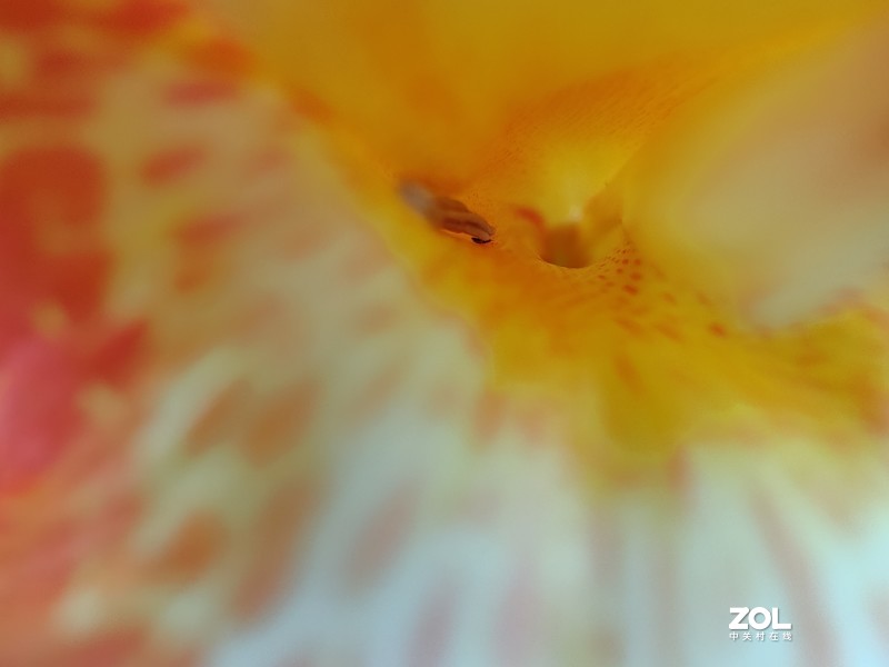 不算评测的一加9 PRO影像体验，手机旅拍短片