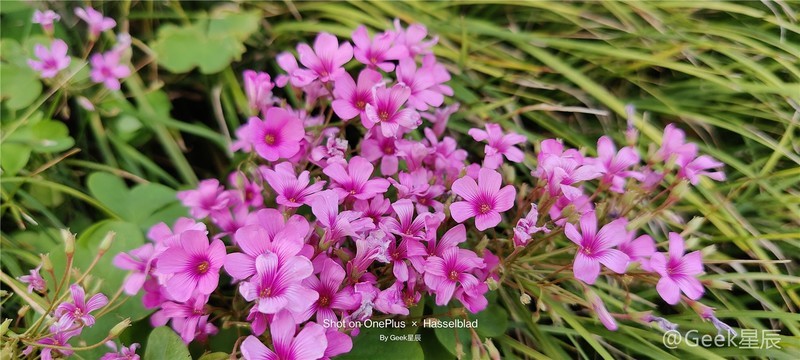 一加9Pro简单测评：游戏性能、高刷屏幕、出色成像！或许很适合你！