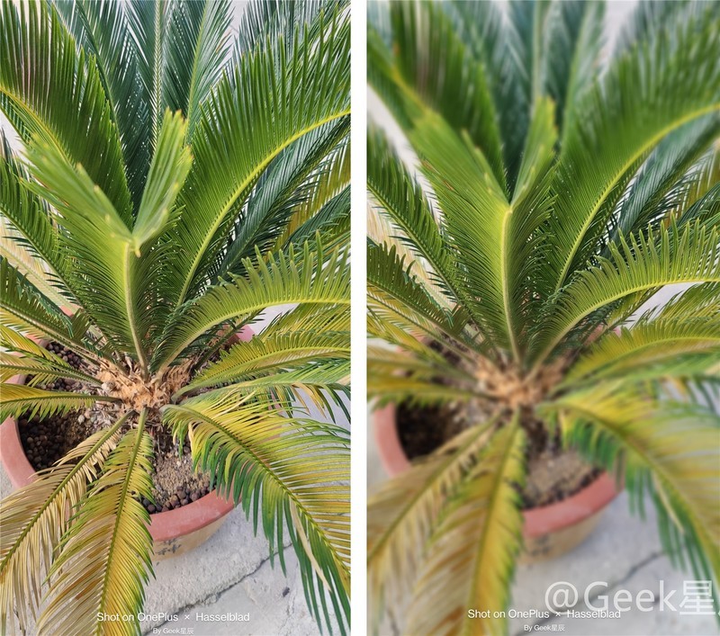 一加9Pro简单测评：游戏性能、高刷屏幕、出色成像！或许很适合你！