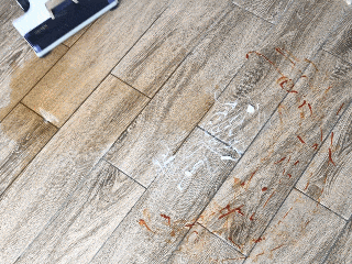 谁说洗地机都很贵？轻便小巧、各项全面的由利F1就是一个好选择