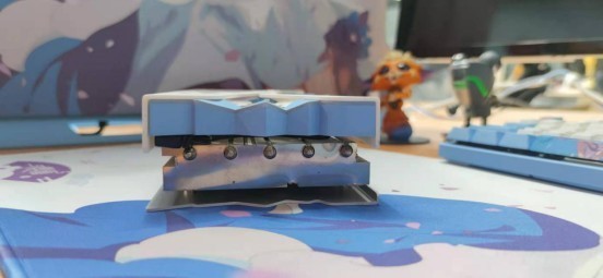 花钱在公司装了一台樱瞳花嫁，同时都说我傻结果……