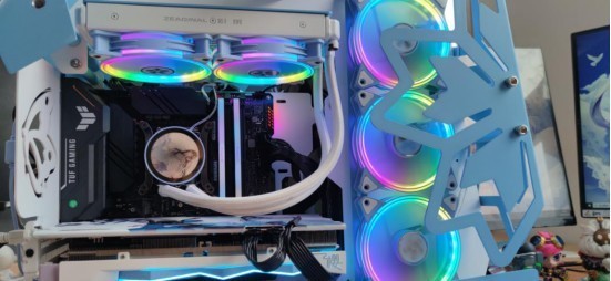 花钱在公司装了一台樱瞳花嫁，同时都说我傻结果……