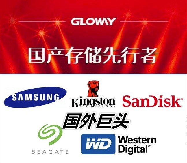 存储界的华为，闷头国产化数年，如今霸榜前10名