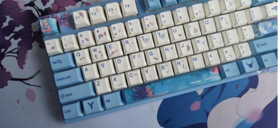 花钱在公司装了一台樱瞳花嫁，同时都说我傻结果……