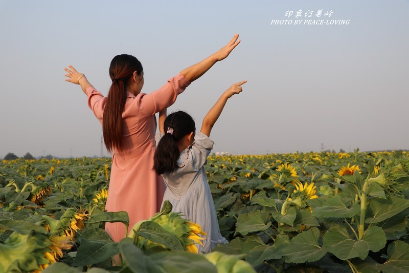 旅发大会之人像篇