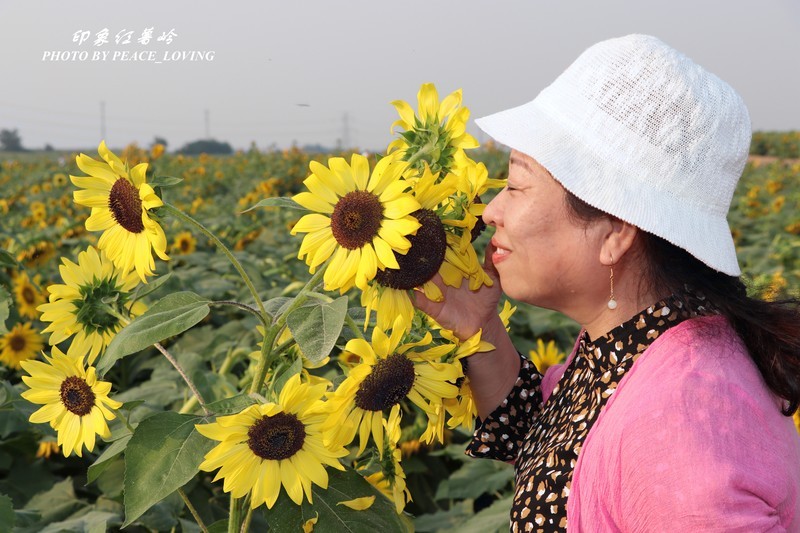 旅发大会之人像篇
