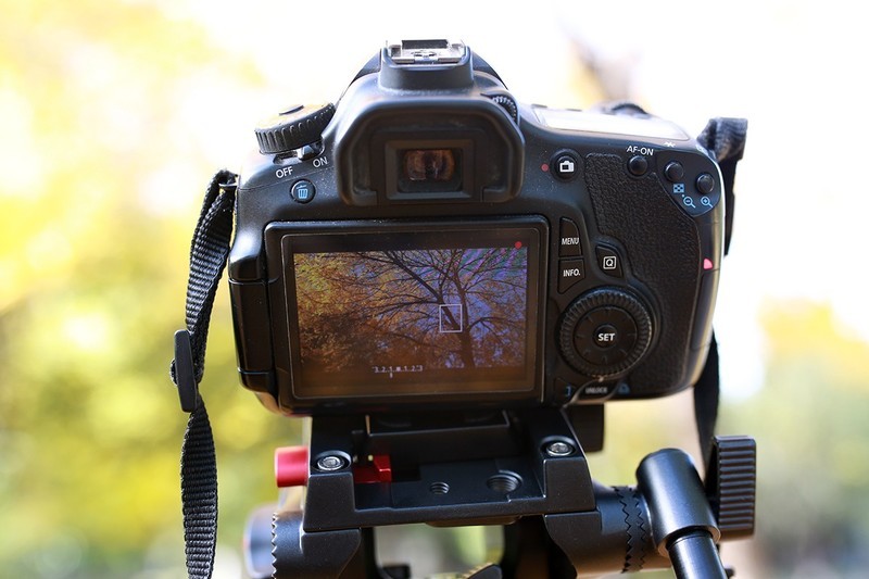 视频创作必备，斯莫格手机兔笼的新鲜体验