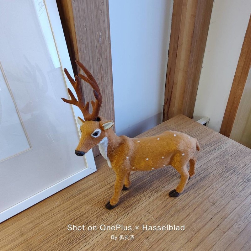 真旗舰，实力派——OnePlus9Pro系列ZOL线下体验会