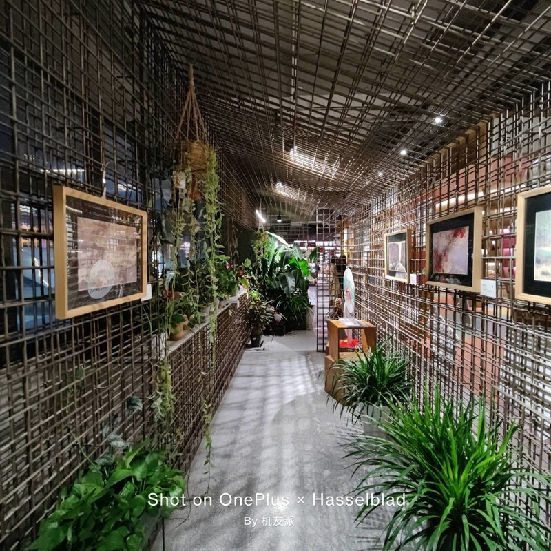 真旗舰，实力派——OnePlus9Pro系列ZOL线下体验会