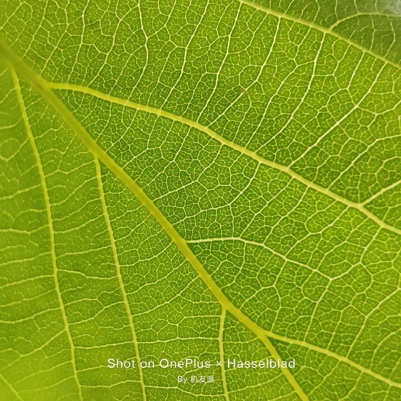 真旗舰，实力派——OnePlus9Pro系列ZOL线下体验会