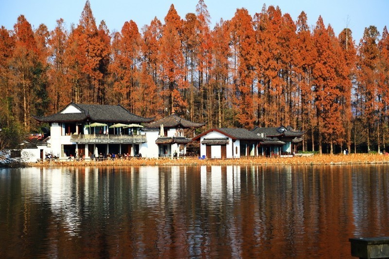 杭州西湖冬天依旧美。