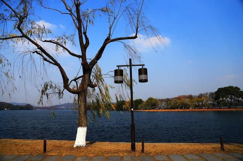 杭州西湖冬天依旧美。