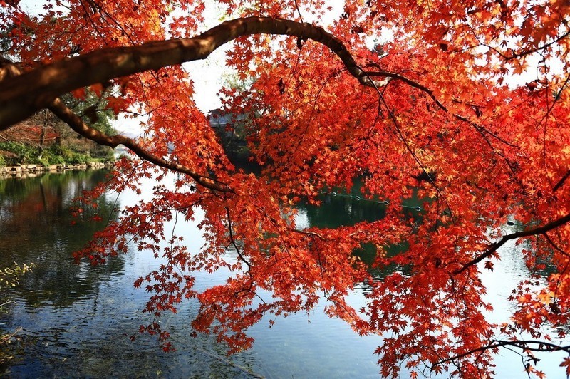 杭州西湖冬天依旧美。
