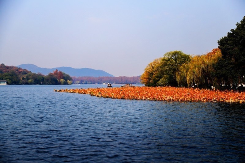 杭州西湖冬天依旧美。