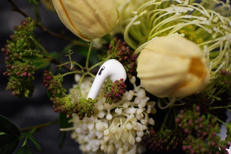 双通道低延迟 Baseus Bowie E8半入耳式蓝牙耳机