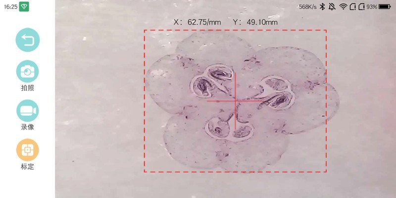 90后都没玩过的儿童玩具，当当狸显微镜体验：大屏成像+拆分设计