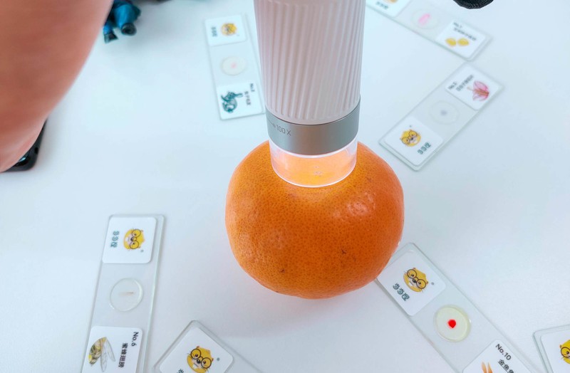 90后都没玩过的儿童玩具，当当狸显微镜体验：大屏成像+拆分设计