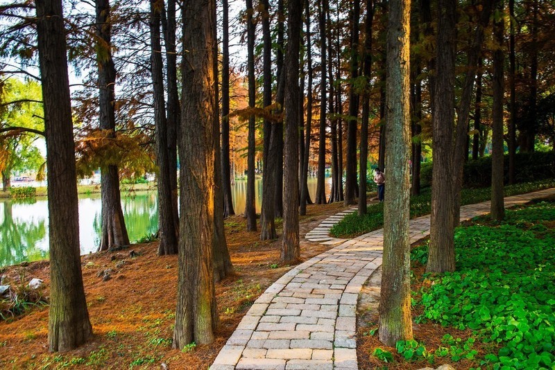 无锡鼋头渚第四集