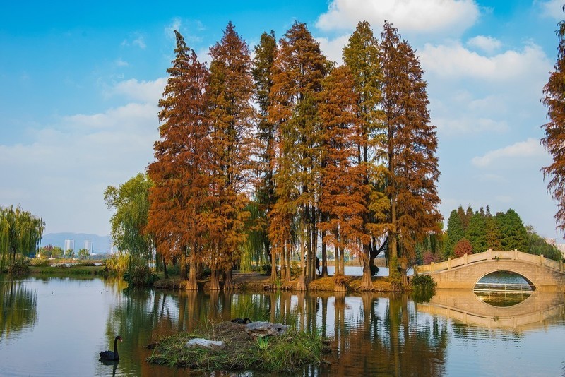 无锡鼋头渚第四集