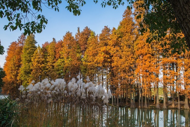 无锡鼋头渚第四集