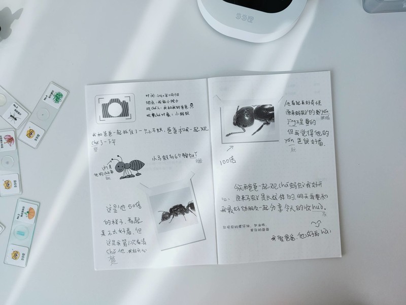 90后都没玩过的儿童玩具，当当狸显微镜体验：大屏成像+拆分设计